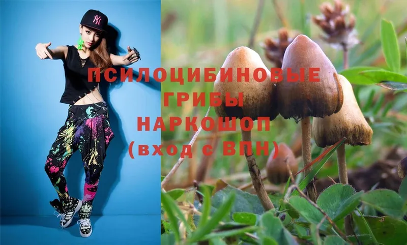 Галлюциногенные грибы Magic Shrooms  Краснокамск 